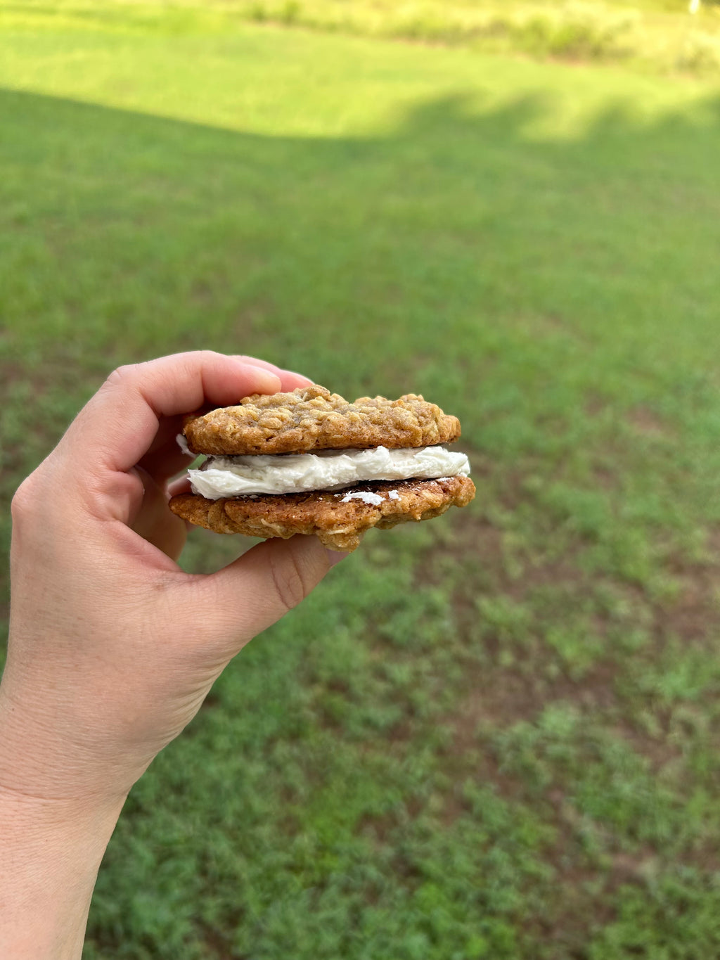 Oatmeal Cream Pie