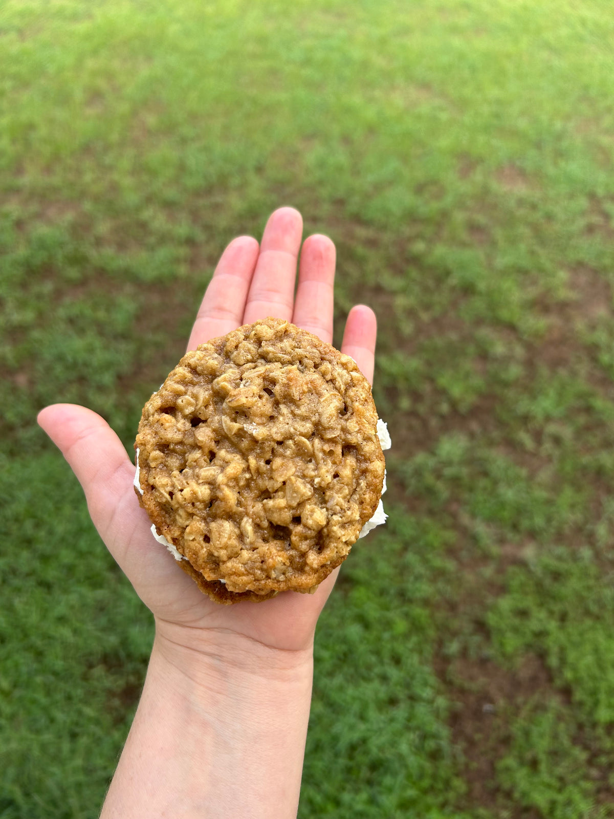 Oatmeal Cream Pie